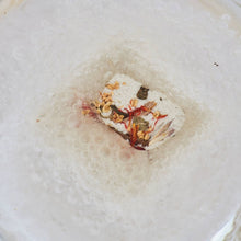 Load image into Gallery viewer, Individual Shower Steamers | Even Keel