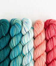 Load image into Gallery viewer, Merino DK Party of Five | Sweet Georgia