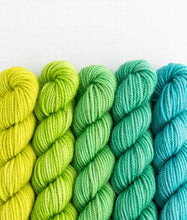 Load image into Gallery viewer, Merino DK Party of Five | Sweet Georgia