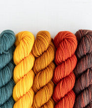 Load image into Gallery viewer, Merino DK Party of Five | Sweet Georgia