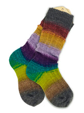 Load image into Gallery viewer, Solemates Sock Yarn | Freia Fibers