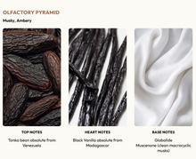 Load image into Gallery viewer, Une Vanille | Obvious Parfums
