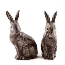 Load image into Gallery viewer, Salt &amp; Pepper Shakers | Quail Ceramics