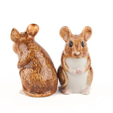 Load image into Gallery viewer, Salt &amp; Pepper Shakers | Quail Ceramics