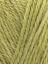 Load image into Gallery viewer, Elements DK Yarn | West Yorkshire Spinners