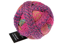 Load image into Gallery viewer, Zauberball Crazy Cotton | Schoppel