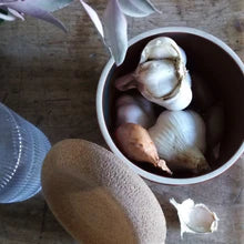 Garlic Keeper | Emile Henry