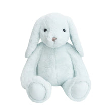 Load image into Gallery viewer, Plush Bunnies | Mon Ami