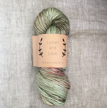 Load image into Gallery viewer, Single Ply Merino Fingering Yarn | Lichen and Lace