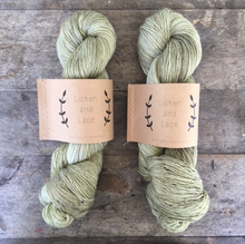 Load image into Gallery viewer, Single Ply Merino Fingering Yarn | Lichen and Lace