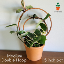 Load image into Gallery viewer, Wood Double Hoop Indoor Plant Trellis | Leaf &amp; Node