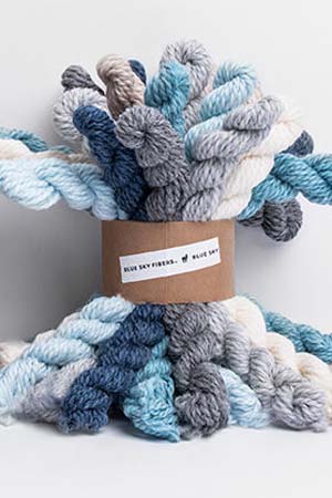 Woolstok Bundle Kit | Blue Sky Fibers